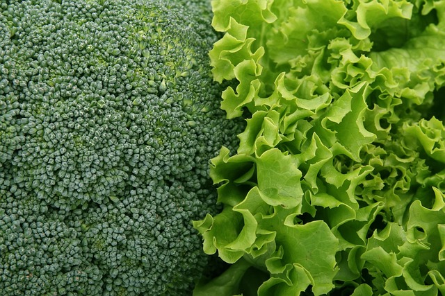 saglikli kolay salata tarifler